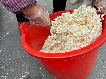 微信圖片_20241205151939 微信圖片_20241205151939