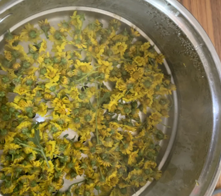 微信圖片_20241205151254 微信圖片_20241205151254