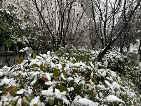 微信圖片_20250113150038 微信圖片_20250113150038