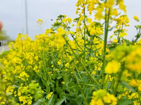 微信圖片_20250314104816 微信圖片_20250314104816