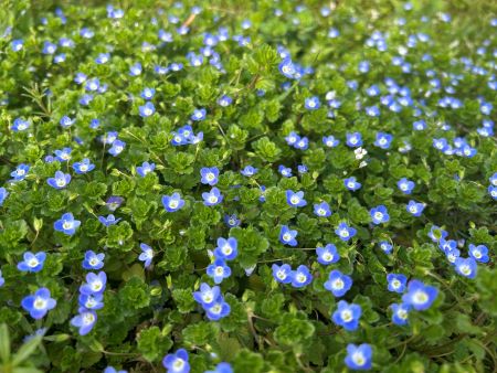 微信圖片_20250402145537 微信圖片_20250402145537