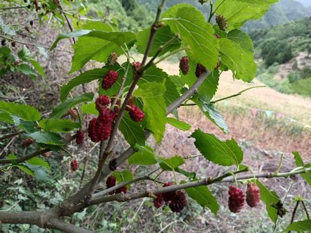 微信圖片_20250616161729 微信圖片_20250616161729