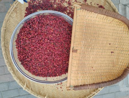 85408034dd607ef9ed02af3d687d240 85408034dd607ef9ed02af3d687d240