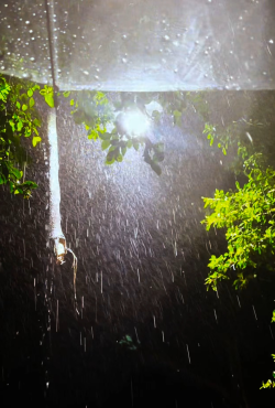 3e7ead6a-9e2f-4f28-9bd3-e478ffd836cc 3e7ead6a-9e2f-4f28-9bd3-e478ffd836cc